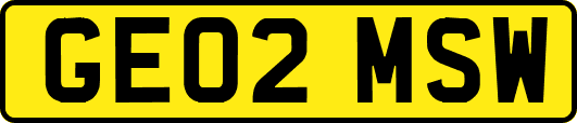GE02MSW