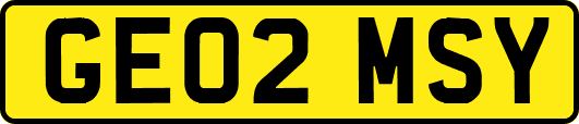 GE02MSY