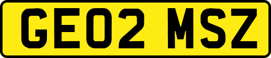 GE02MSZ