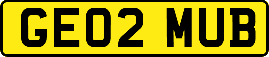 GE02MUB