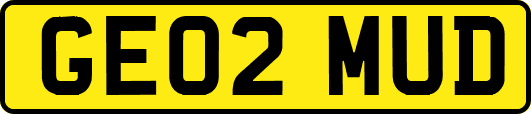 GE02MUD