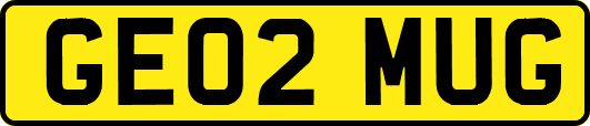 GE02MUG