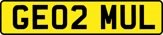 GE02MUL