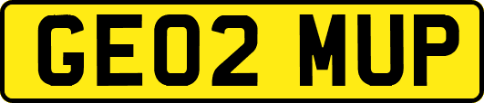 GE02MUP