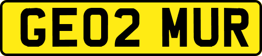 GE02MUR
