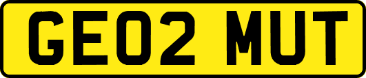 GE02MUT