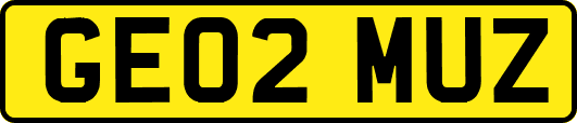 GE02MUZ