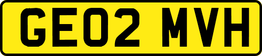 GE02MVH