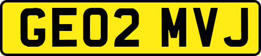GE02MVJ