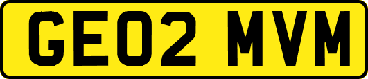 GE02MVM