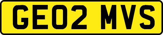 GE02MVS