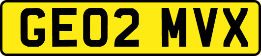 GE02MVX