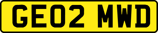 GE02MWD