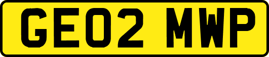 GE02MWP