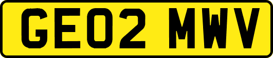 GE02MWV