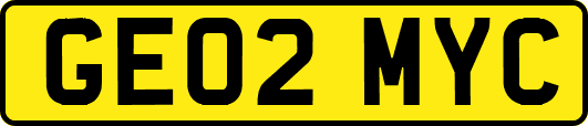 GE02MYC