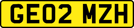 GE02MZH