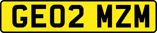 GE02MZM