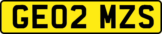GE02MZS