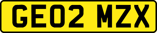 GE02MZX