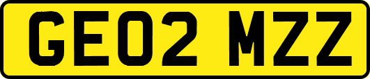 GE02MZZ