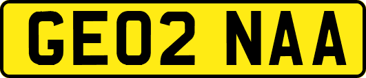 GE02NAA