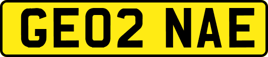 GE02NAE