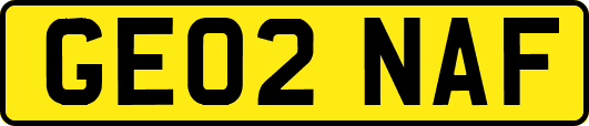 GE02NAF