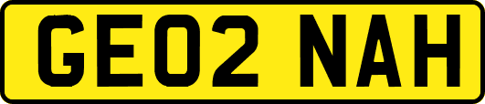 GE02NAH