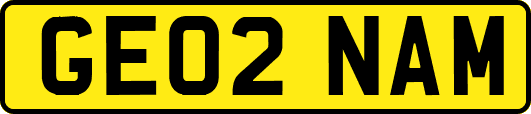 GE02NAM