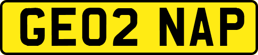 GE02NAP