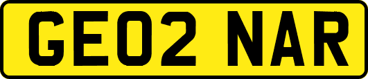 GE02NAR
