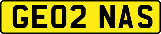 GE02NAS