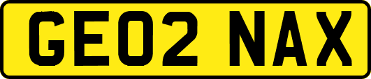 GE02NAX