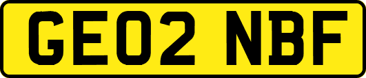 GE02NBF