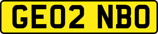 GE02NBO