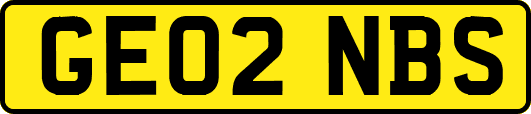 GE02NBS