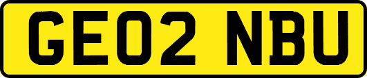 GE02NBU