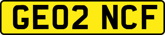 GE02NCF