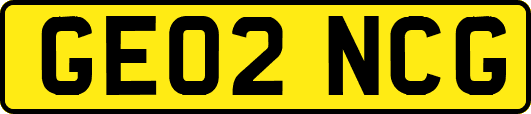 GE02NCG