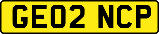 GE02NCP
