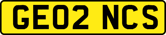 GE02NCS