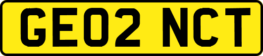 GE02NCT