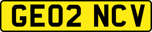 GE02NCV