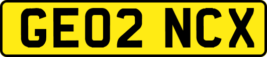 GE02NCX