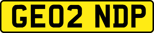 GE02NDP