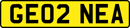 GE02NEA