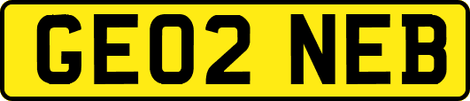 GE02NEB