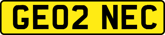 GE02NEC