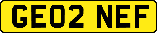 GE02NEF